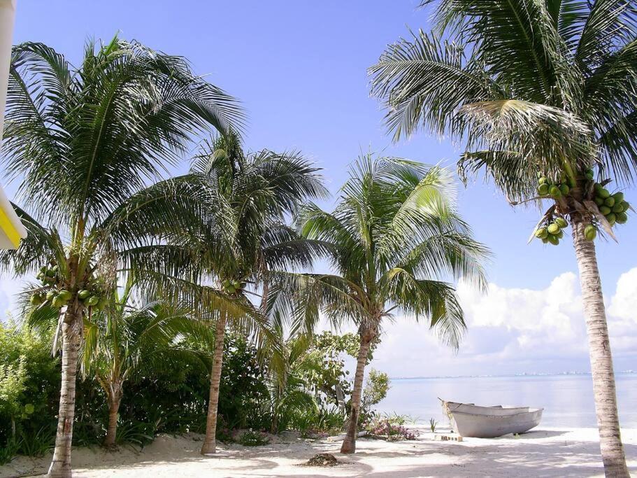 Marysol Beachfront Next To Nomads D6 Isla Mujeres