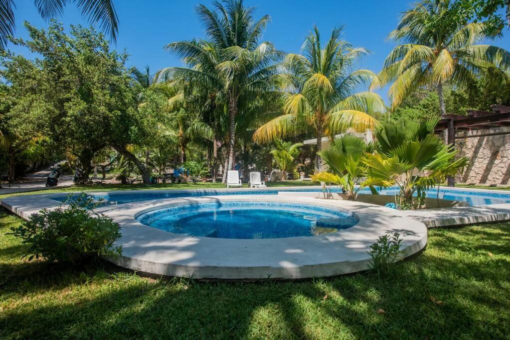 Apartment Marysol Beachfront Next To Nomads D6 Isla Mujeres