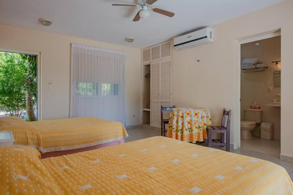 Apartment Marysol Beachfront Next To Nomads D6 *